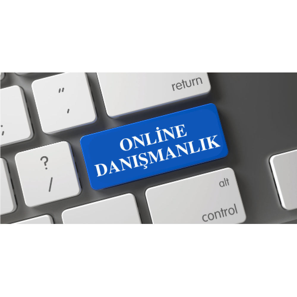 online_danismanlik
